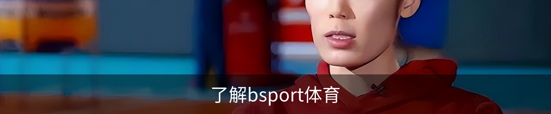 了解bsport体育